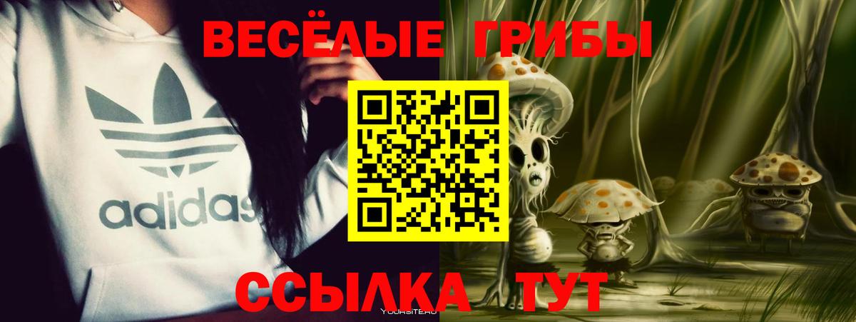 Котельники  Галлюциногенные грибы прущие грибы  Вход с VPN 